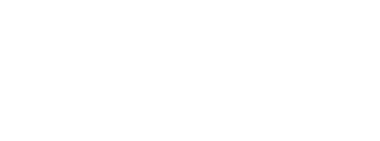 light logo